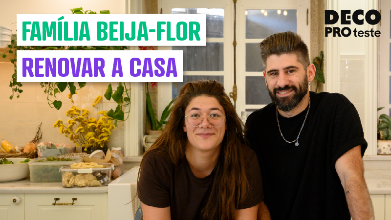 vídeo família beija flor